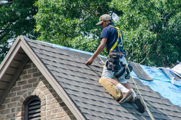 Best Gutter Installation and Roofing  in Trainer, PA